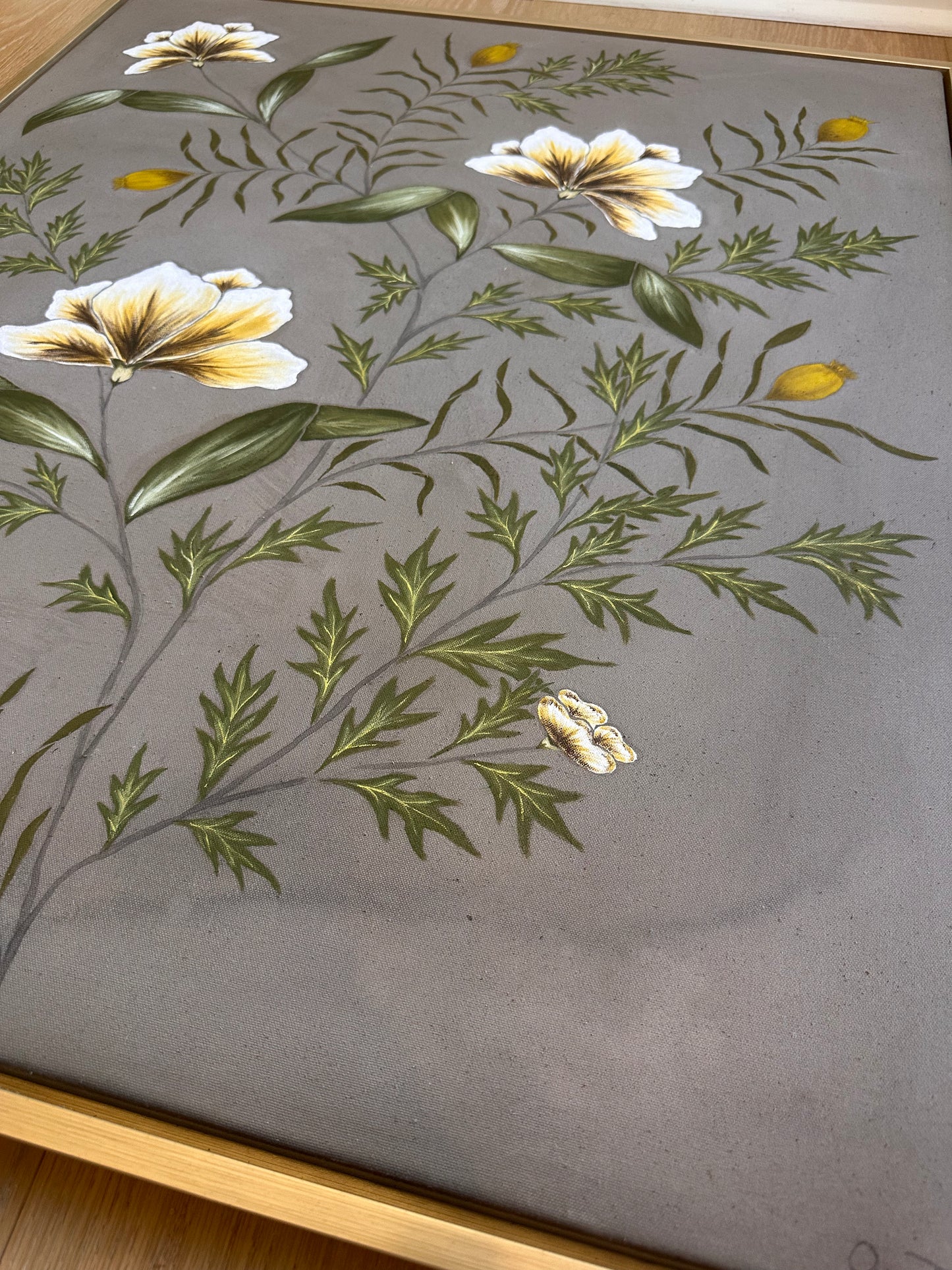 umber botanical