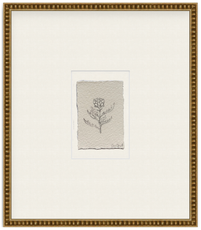 petit artichoke viii
