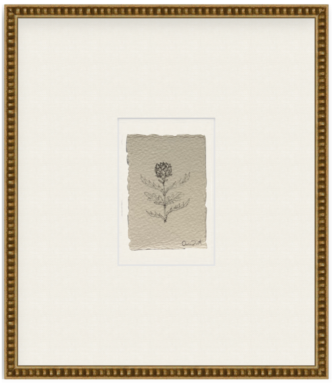 petit artichoke vii