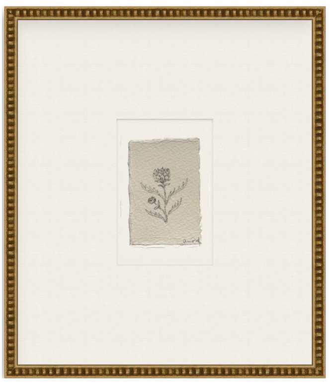 petit artichoke vi