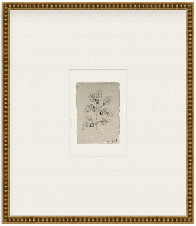 petit fig vii