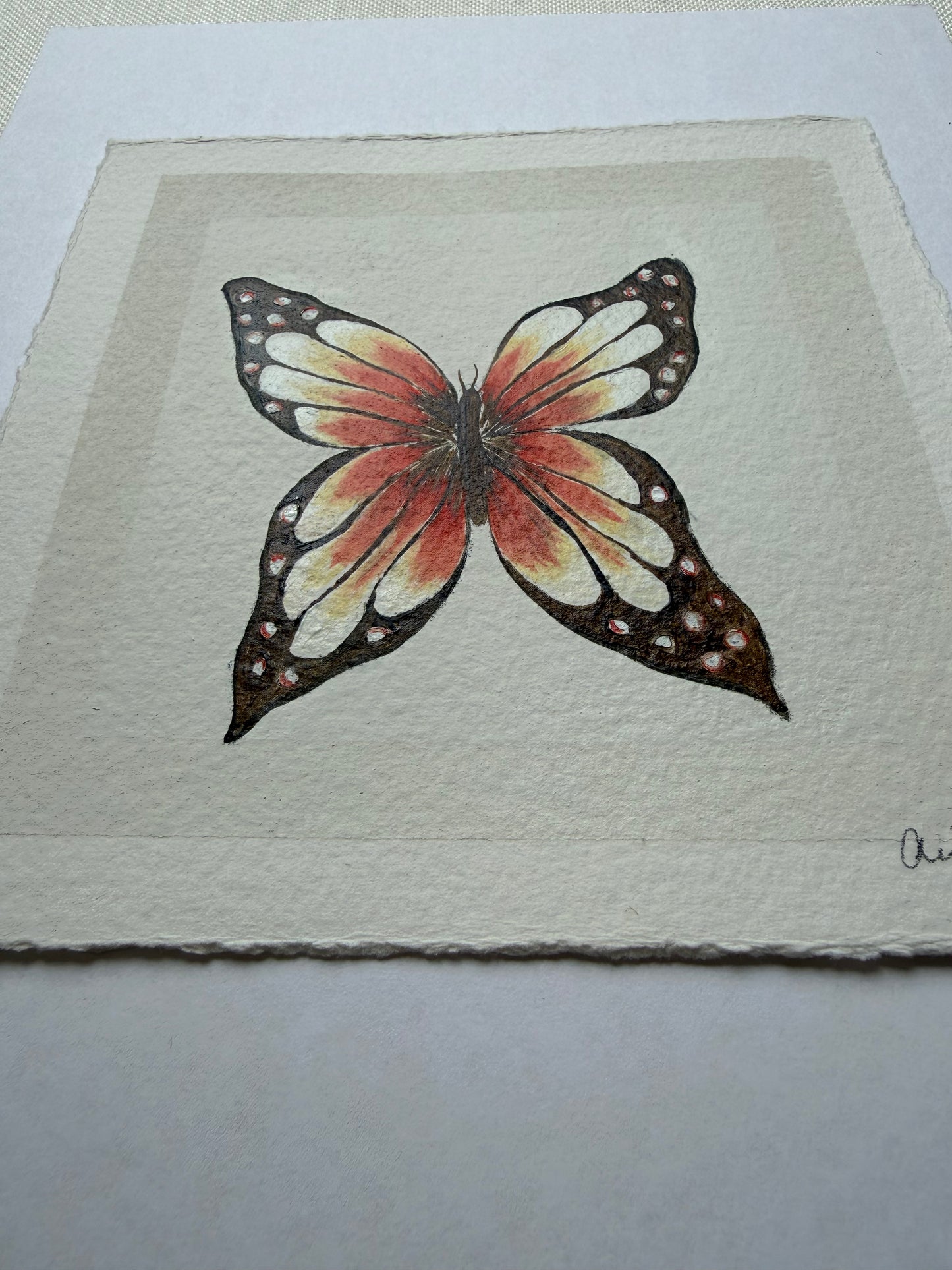papillon blanc iii
