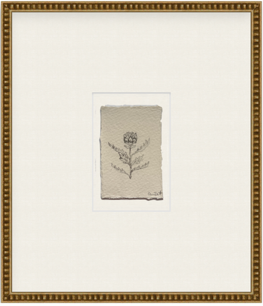 petit artichoke ix