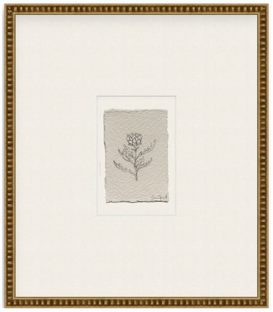 petit artichoke viii