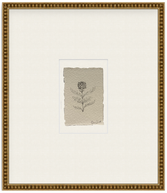 petit artichoke vii