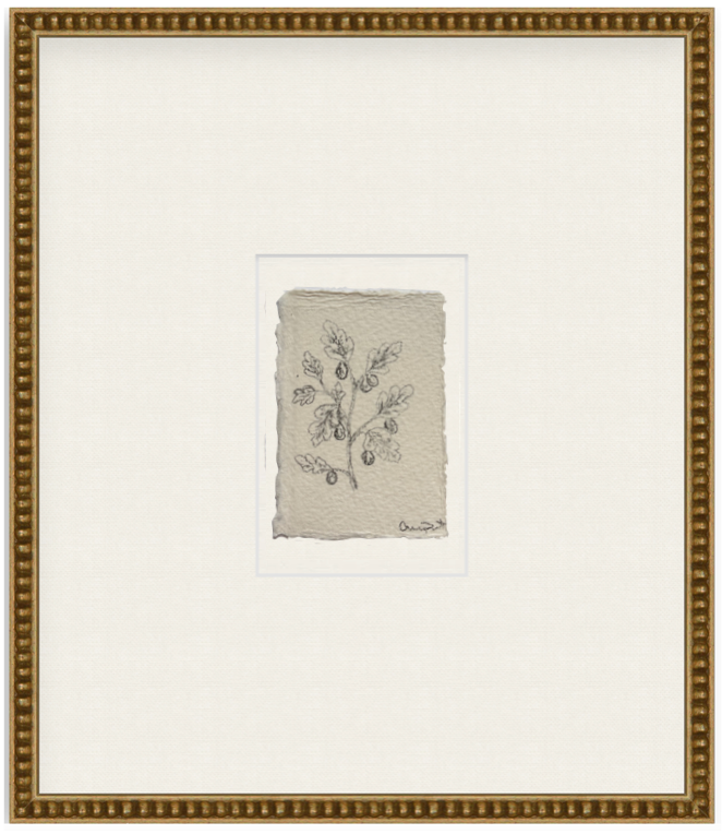 petit fig ix