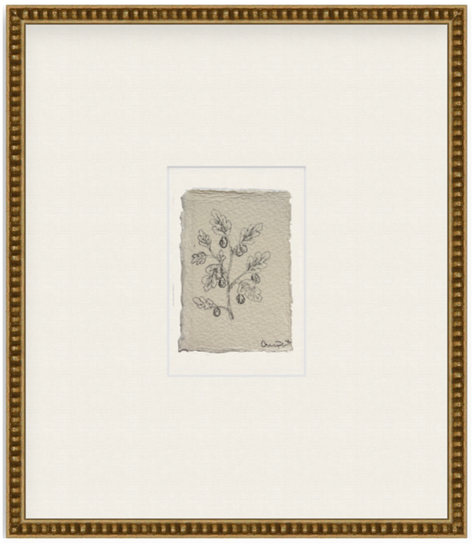petit fig ix
