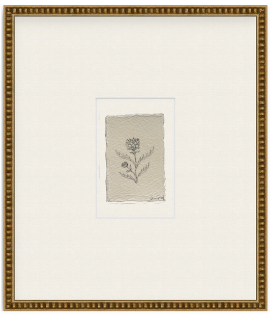 petit artichoke vi