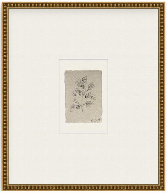 petit fig vii