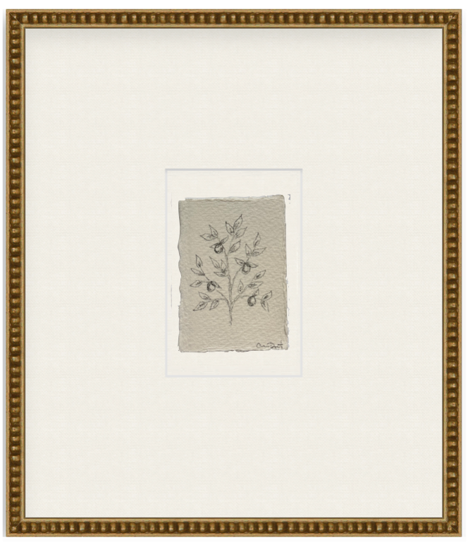 petit limon vii