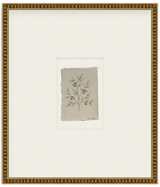 petit limon vii