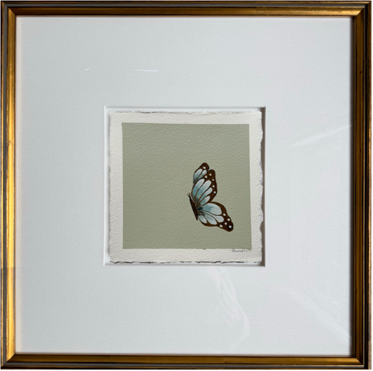 papillon vert