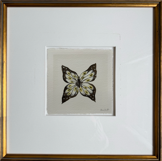 papillon blanc iv
