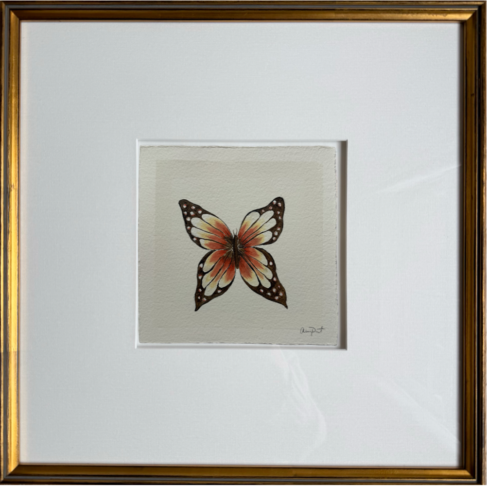 papillon blanc iii
