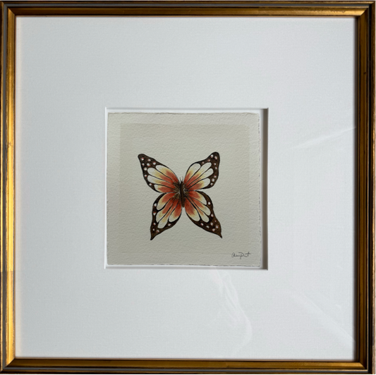 papillon blanc iii