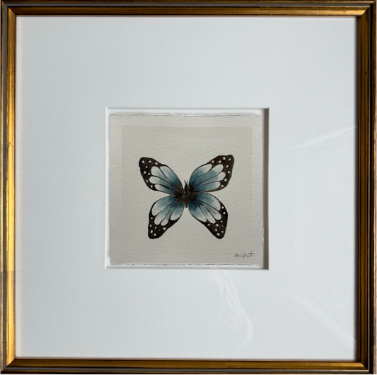 papillon blanc ii