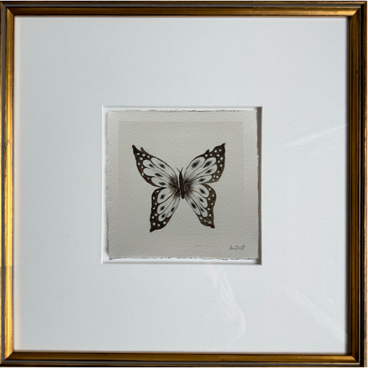 papillon blanc i