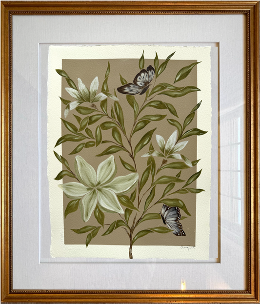 papillon taupe violacé